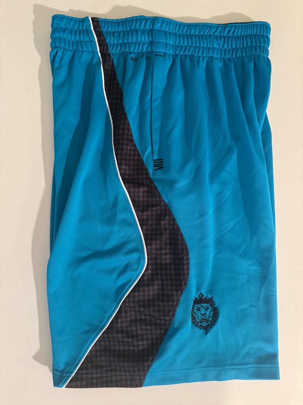 Nike LeBron James Crown Lion Blue Basketball Shorts Men’s Size Large